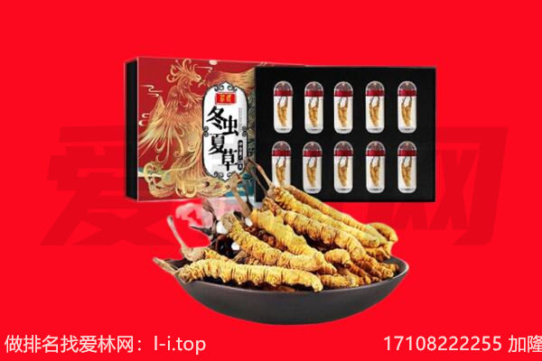 宜昌秭归县回收虫草.jpg